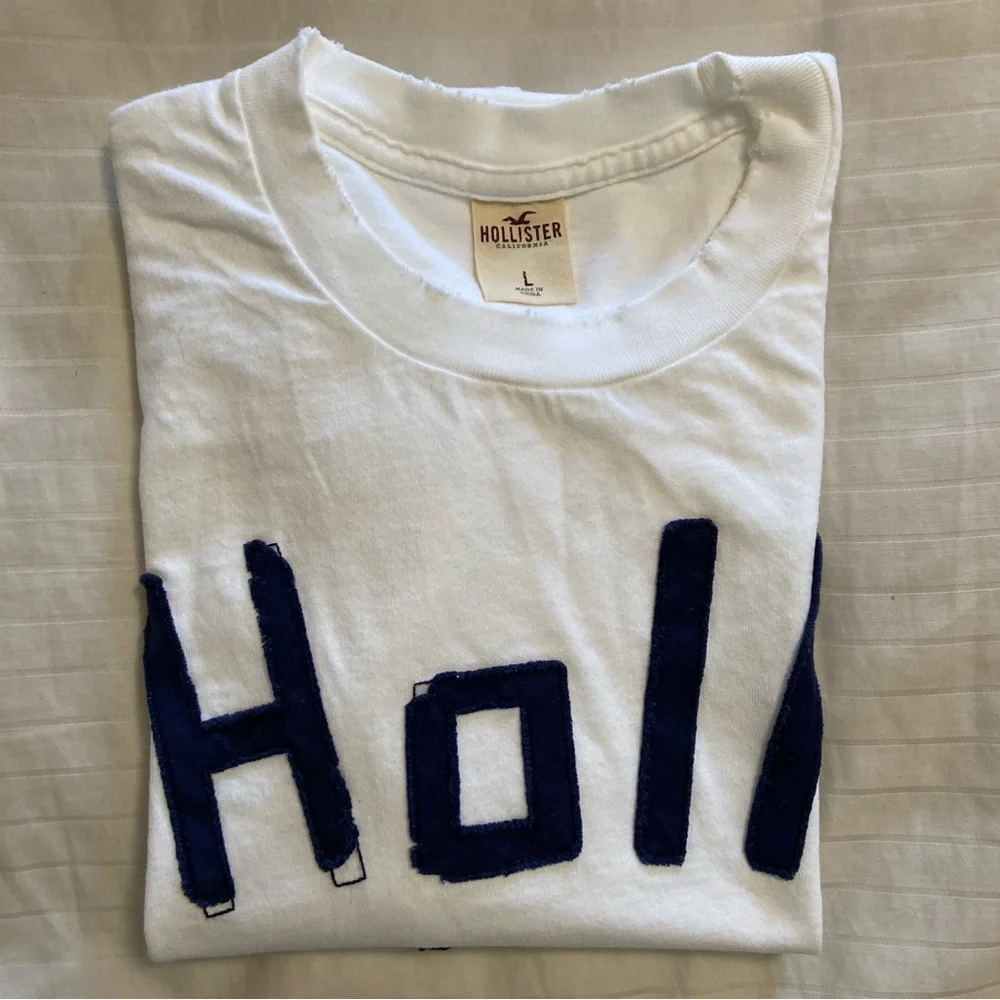 Hollister bird patch-stitch letter short sleeve size L vintage - Picture 9 of 10